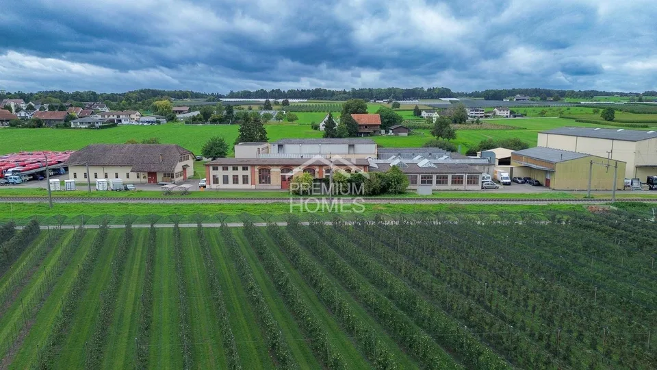 IL SUCCESSO INIZIA QUI - SUL LAGO DI COSTANZA