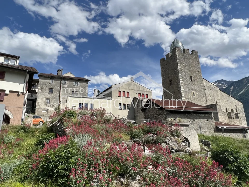 Historisches Wohnhaus mit 3 Wohnungen mit Blick auf das Leuker Schloss