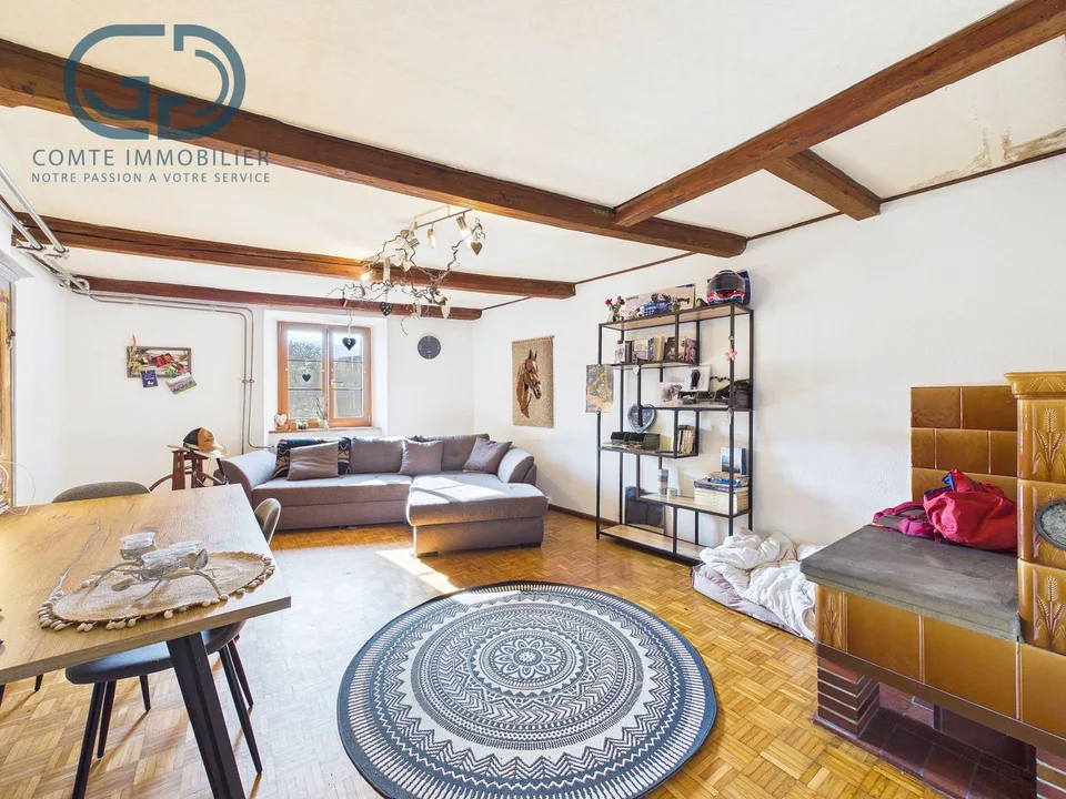 Alte renovierte Scheune mit 2 Wohnungen, Stall und Grundstück