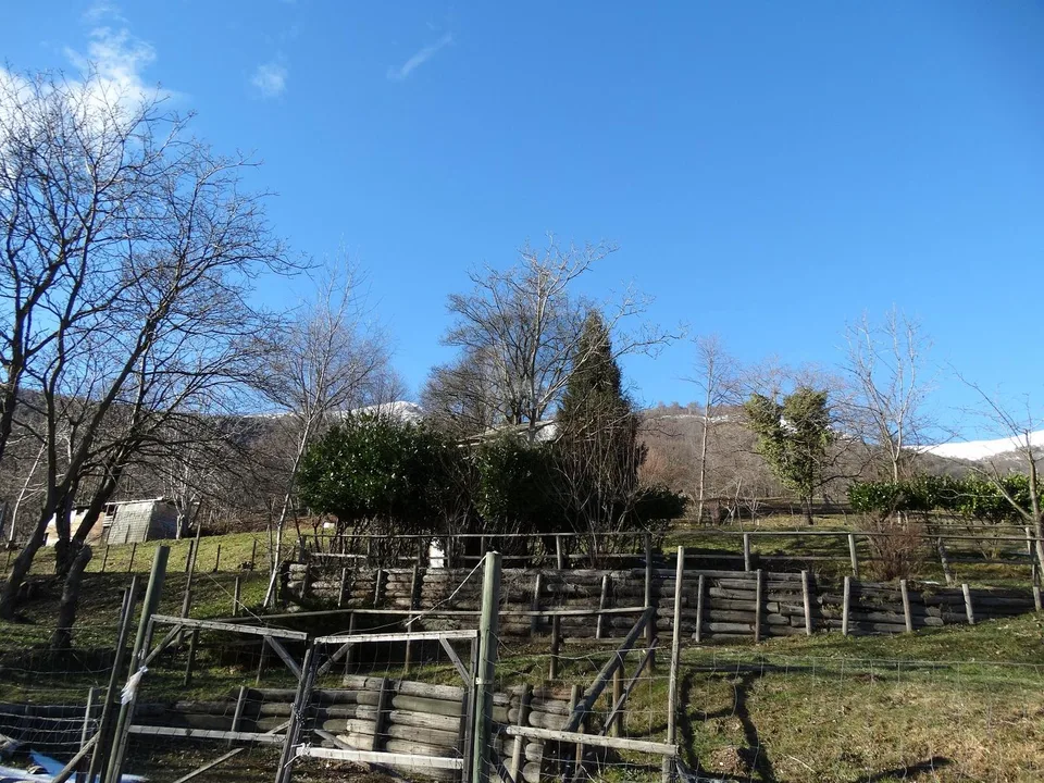 Pferdeweide