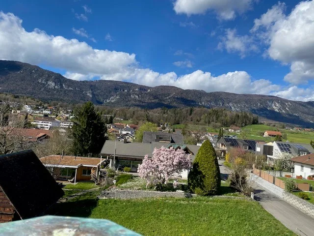 Costruzione approvata: appartamento in mansarda con vista panoramica a Bellach – 3,5 locali con ampia terrazza