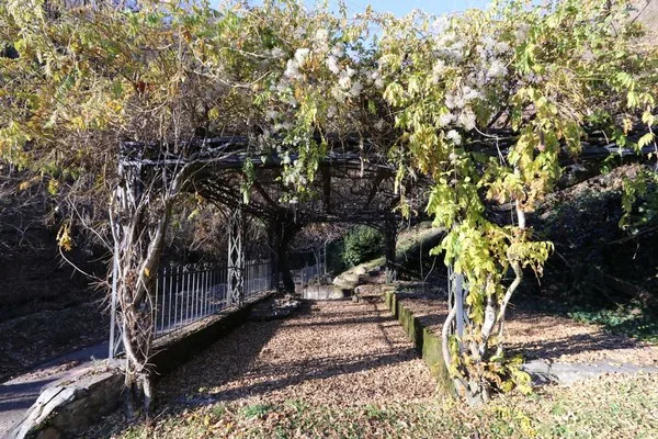 Oggetto per amatori - Liebhaber Objekt - Property suited to connoisseurs – foto 9 di 10