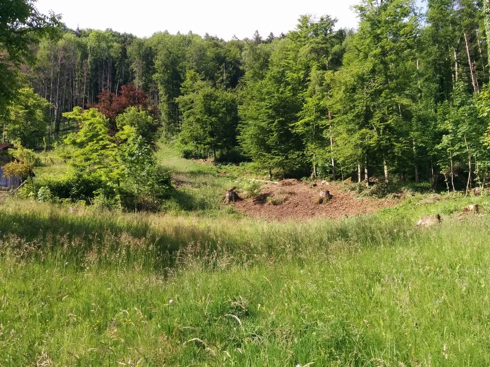 NOBILES GIOIELLO DELLA NATURA: 5,15 ha TENUTA 100% AUTARICA progetto di costruzione approvato, prato / foresta / ruscello / stagno – foto 20 di 30
