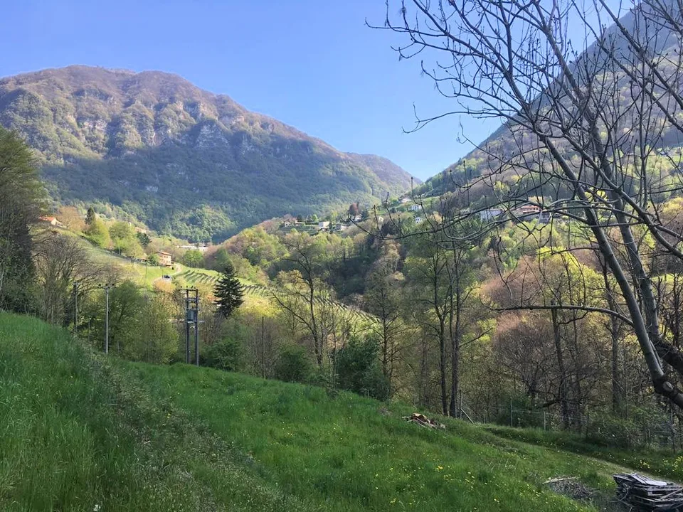 Terrain constructible de 1300 mètres carrés immergé dans la nature – photo 8 sur 11