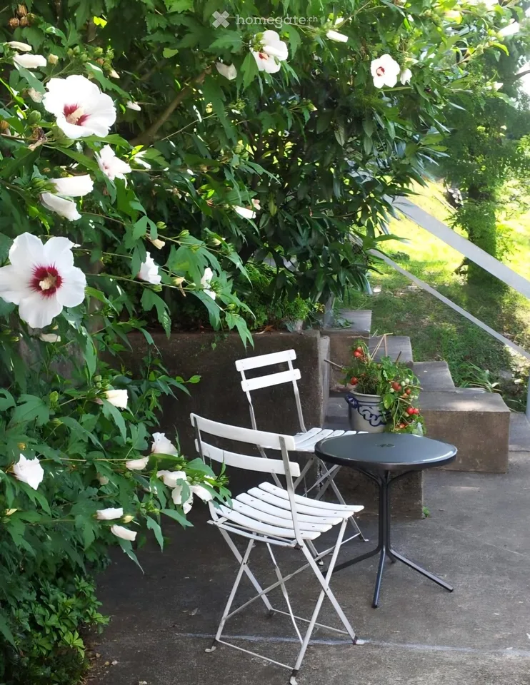 Appartamento con terrazza a Monteggio