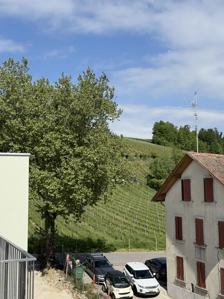 Spazio amministrativo/ufficio con balcone, unità 31, in nuovo progetto a Echandens