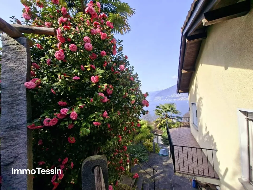 Maison de vacances avec vue lacustre de rêve sur le Lago Maggiore