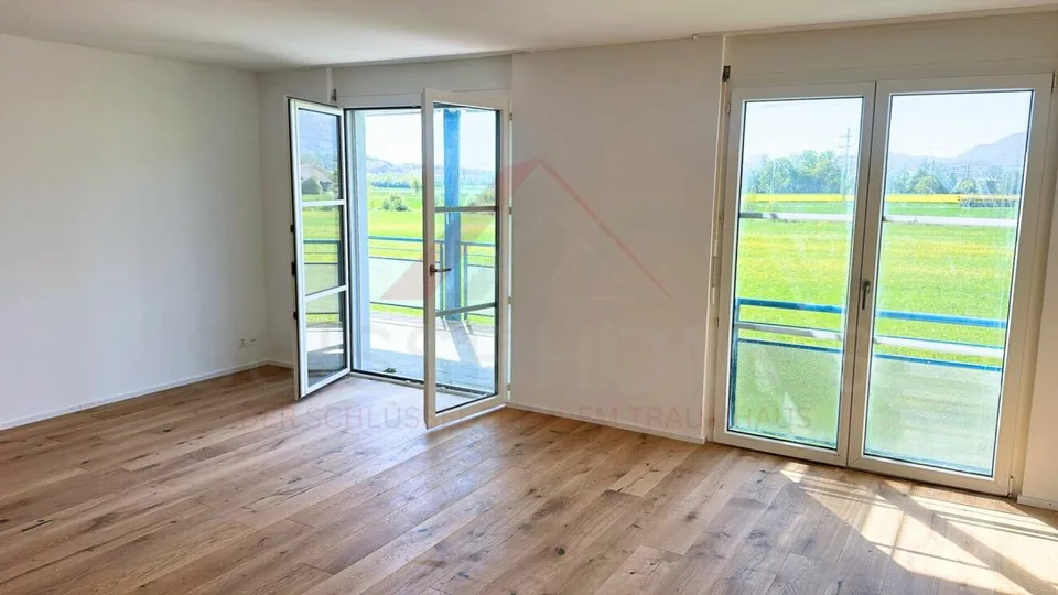 Appartamento di 3,5 locali elegantemente ristrutturato con balcone sulla periferia verde di Solothurn