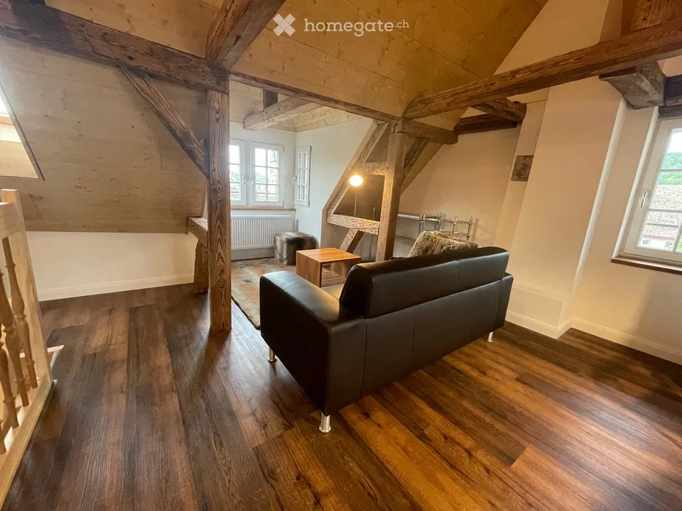 Möblierte 2-Zimmer-Wohnung in der Altstadt Schaffhausen