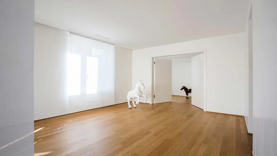 Appartamento attico esclusivo di 4,5 locali in posizione ideale ad Aarau