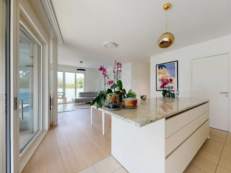 Magnifique appartement - Vandoeuvres
