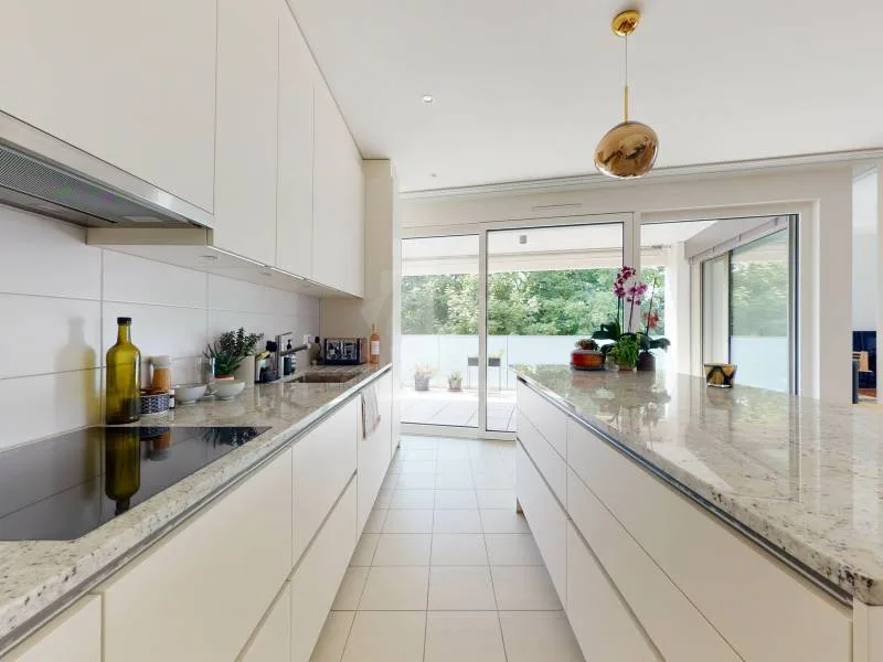 Magnifique appartement - Vandoeuvres