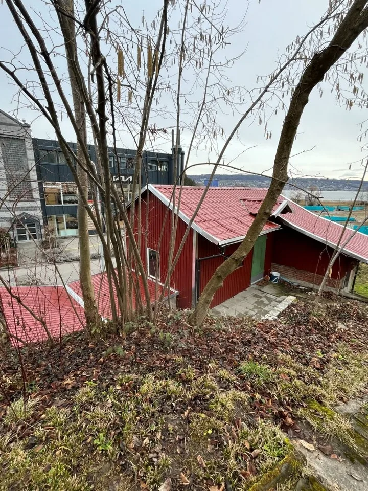 Espace commercial polyvalent avec caractère d'atelier à Au ZH – photo 7 sur 8