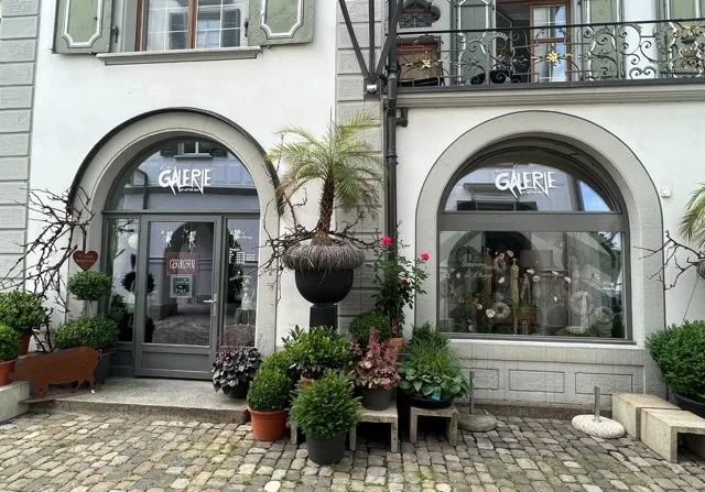 Locale commerciale elegante nel centro di Herisau