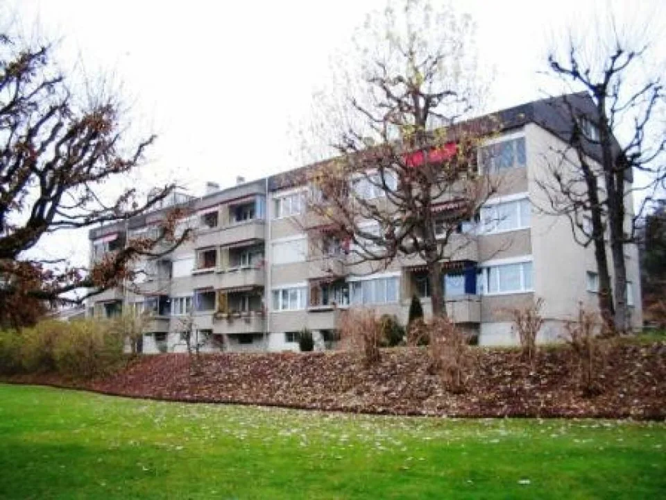 Gemütliche Dachwohnung