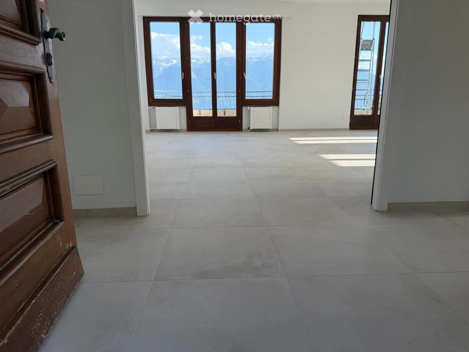 Prachtiges renoviertes Duplex mit 5,5 Zimmern