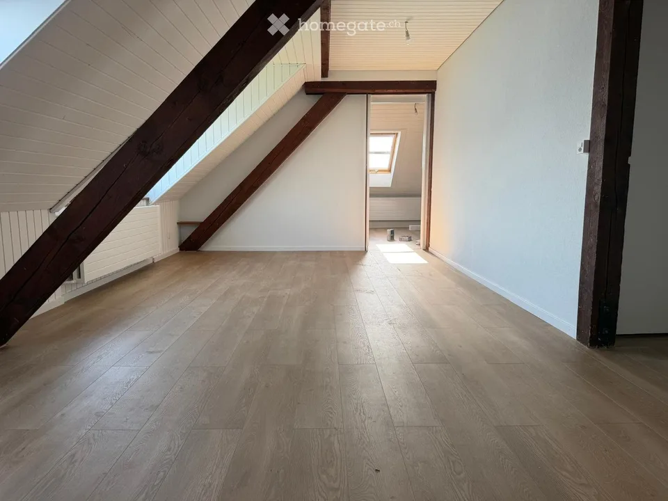 Prachtiges renoviertes Duplex mit 5,5 Zimmern