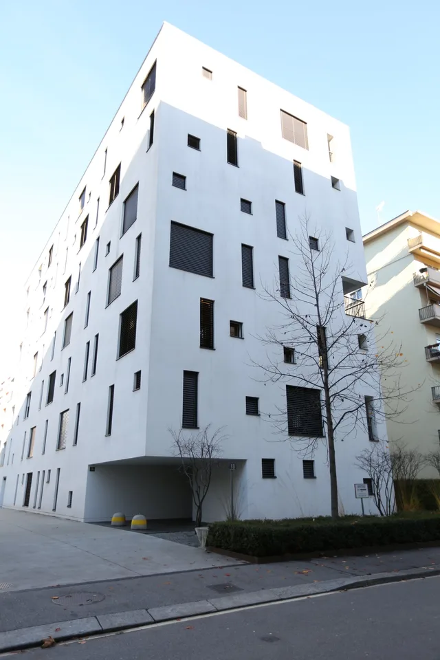 Ampio Loft arredato a Lugano, Molino Nuovo