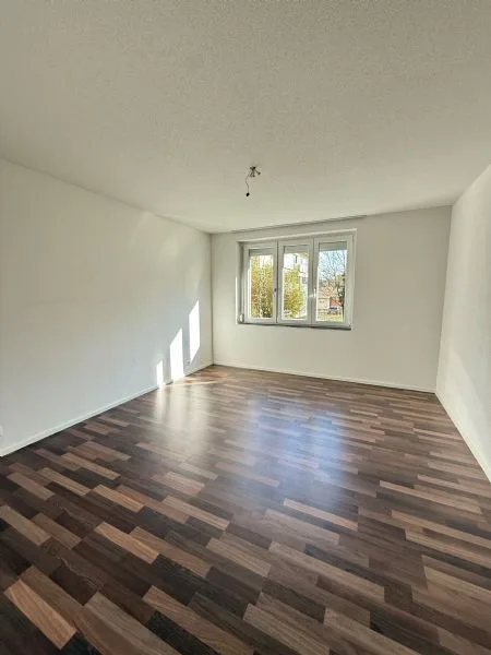 Sanierte und helle 3-Zimmerwohnung nähe Allmend Bahnhof zu vermieten