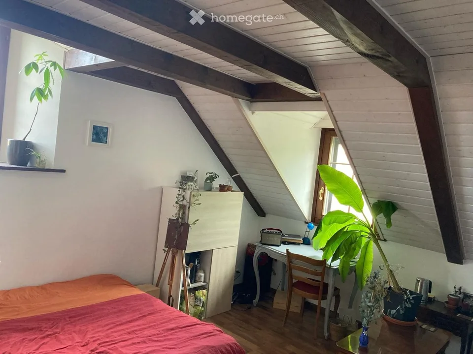 Mitbewohner in renoviertem Bauernhaus