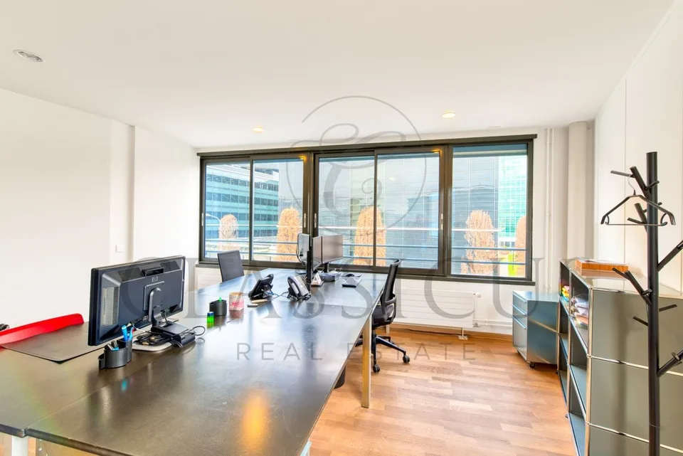 Bureaux professionnels rationnels au 2ème étage - Genève Plainpalais