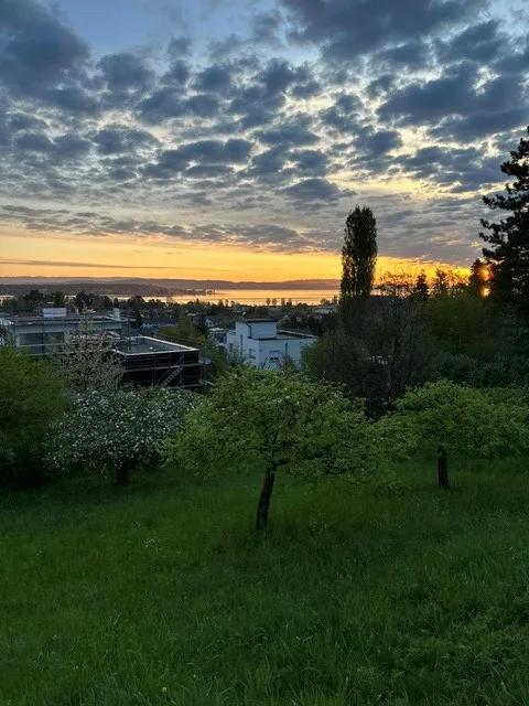 Grosszügiges 8.5-Zimmer-Einfamilienhaus mit Garten in Kreuzlingen
