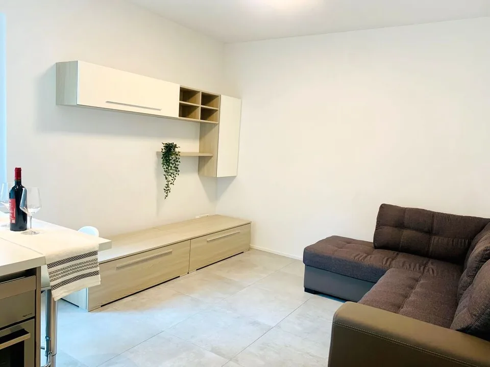 Molino Nuovo 2.5 loc. Arredato Pigione 1'450 Spese 250