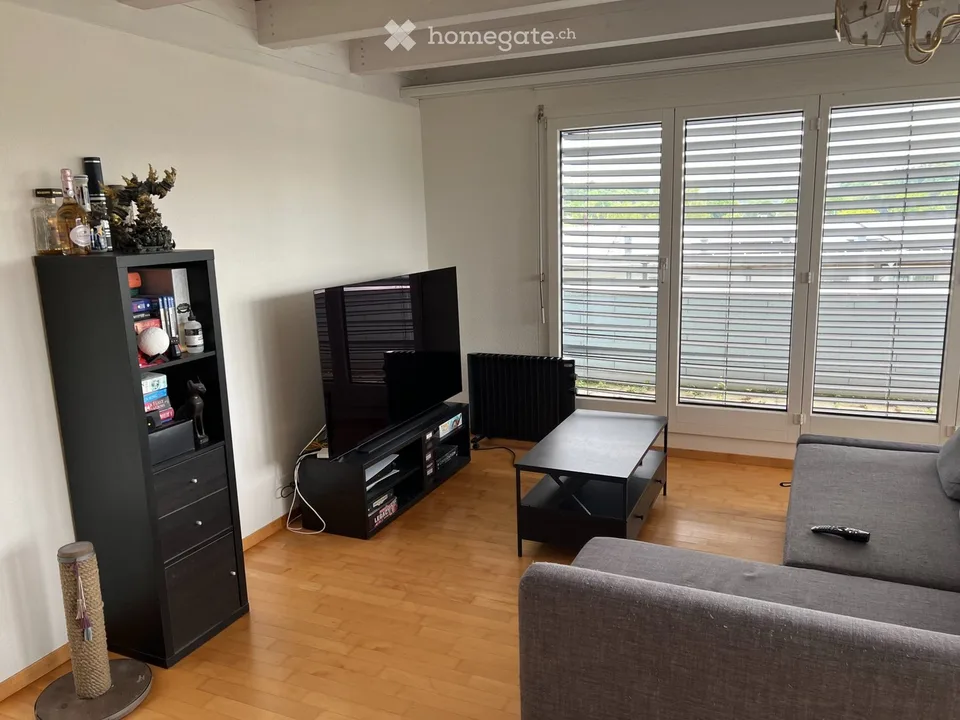 Bright room in 2-person shared apartment, roommate wanted