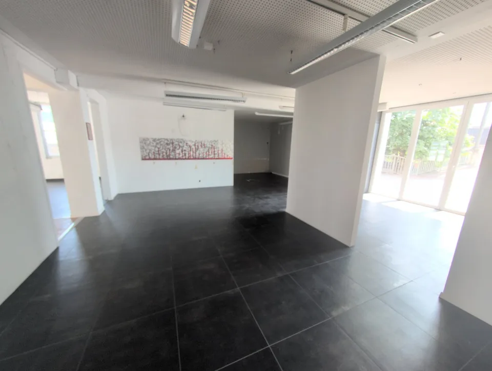 In affitto, depositi destinati principalmente allo stoccaggio, a Sion! – foto 13 di 58
