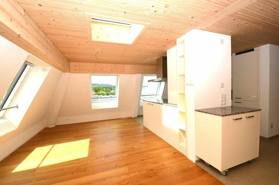 Sopra i tetti di Frauenfeld! - Appartamento da sogno nell'attico