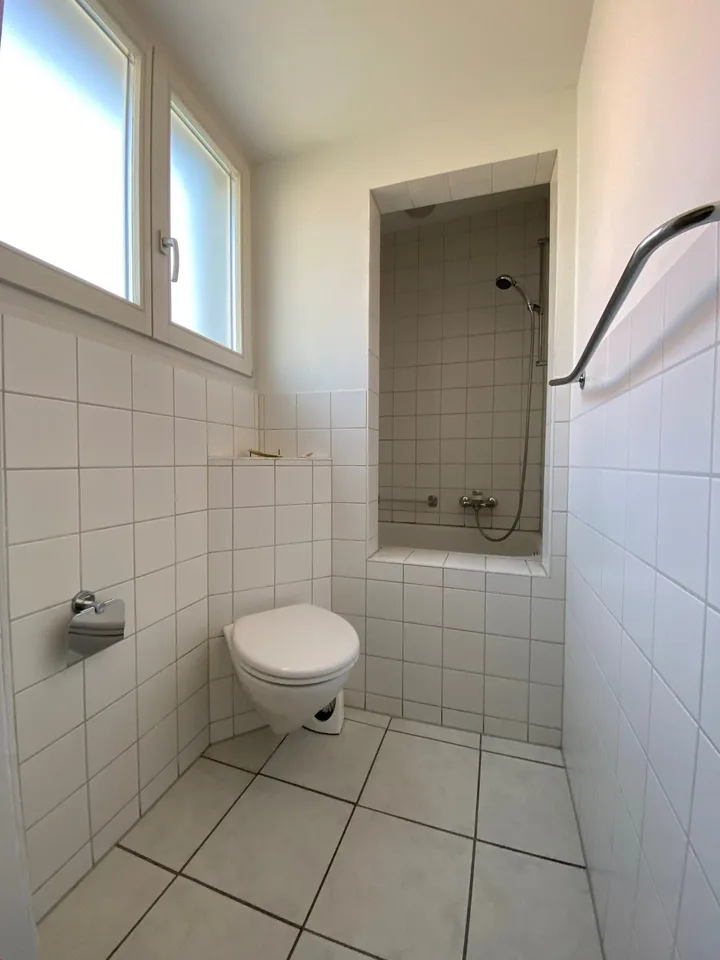 Renovierte 4 Zimmer-Wohnung – Foto 9 von 9