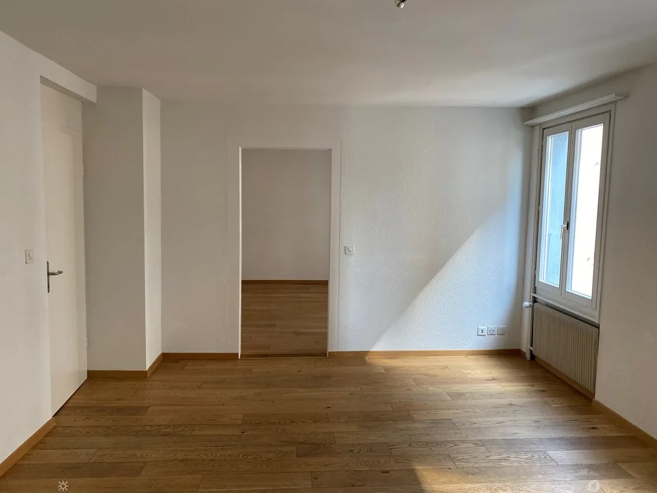 Renovierte 4 Zimmer-Wohnung