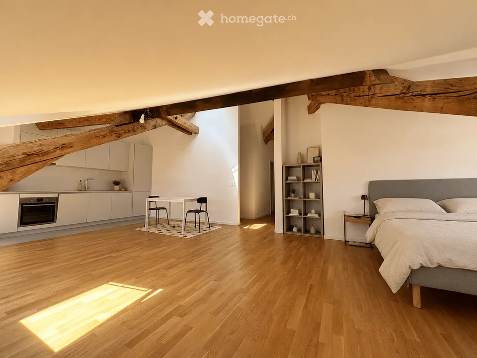 Magnifique loft entièrement rénové au centre de Lausanne
