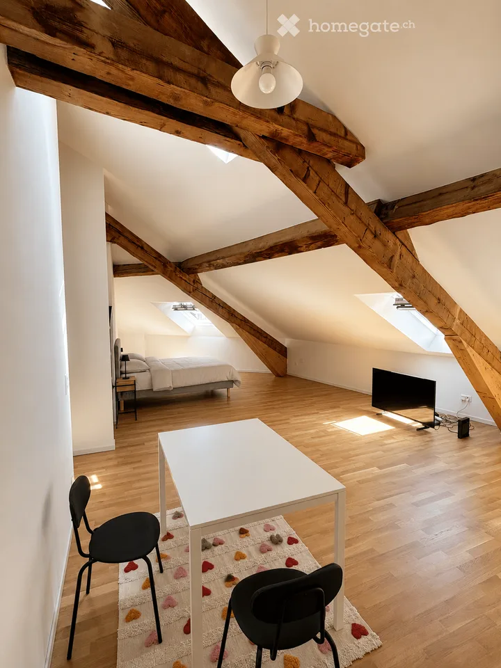 Meraviglioso loft completamente ristrutturato nel centro di Losanna