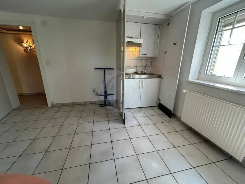 Cozy villa - Renens VD