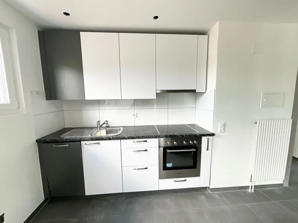 Charmant appartement de 3 pièces avec cheminée et balcon plein sud