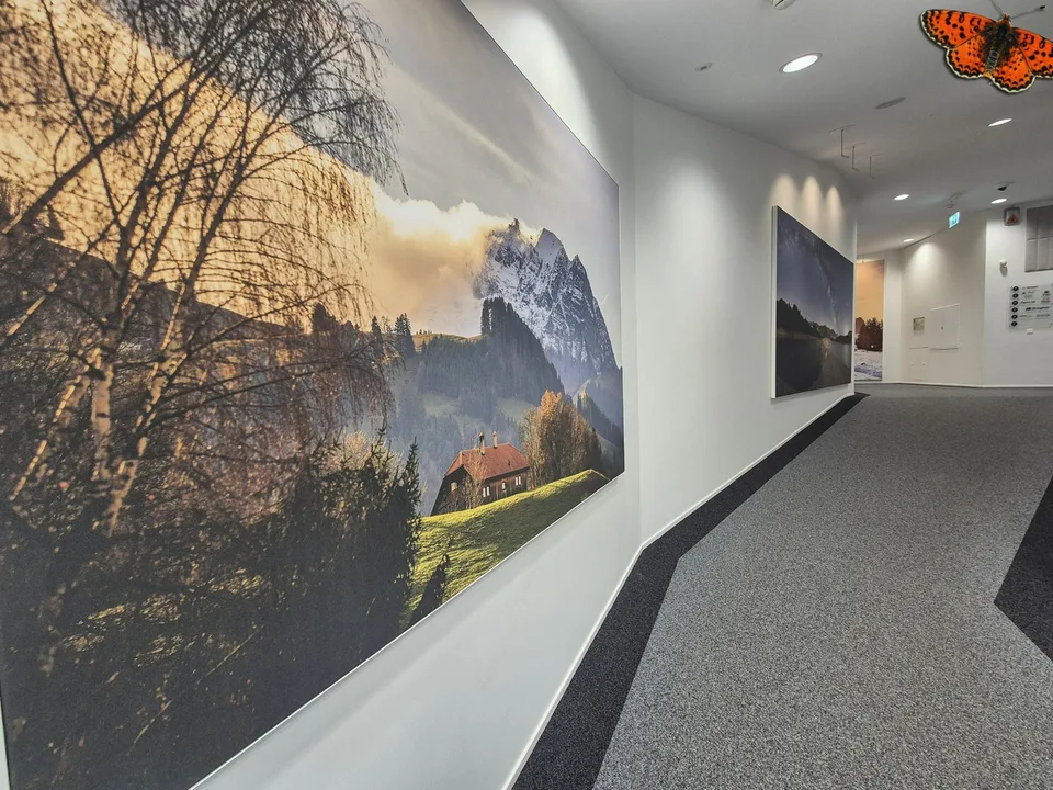 OPPORTUNITE - GRANDS BUREAUX A LOUER - BULLE