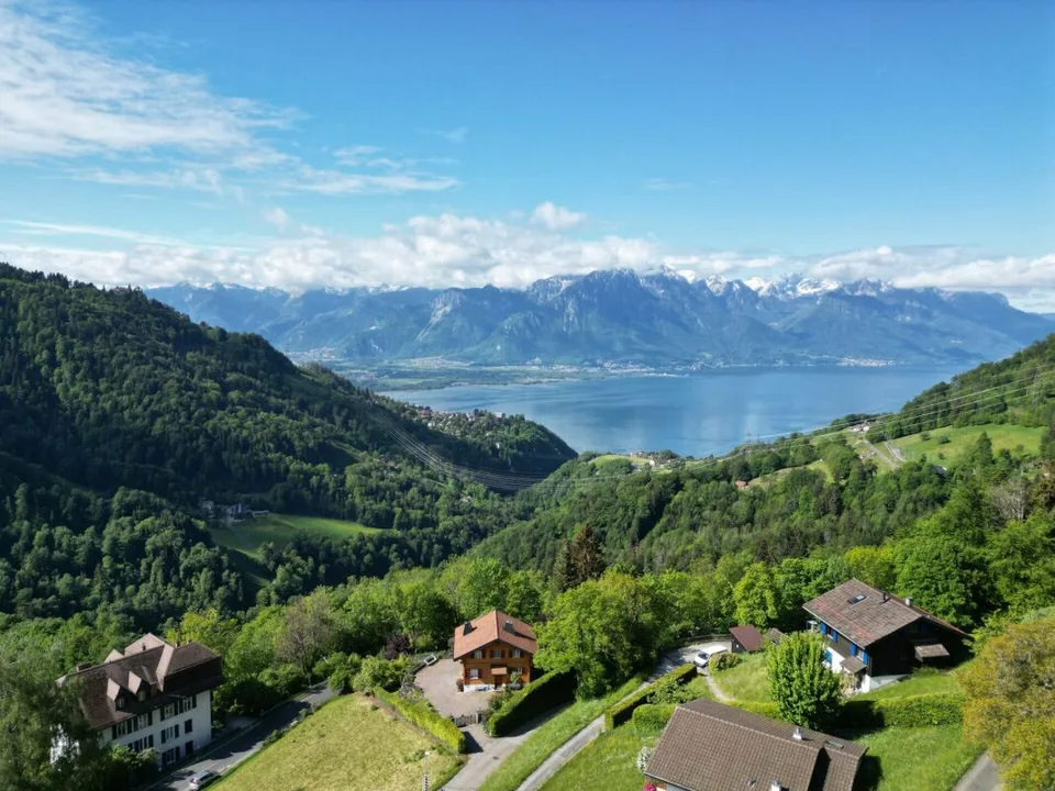 Exklusiv - Chalet am See