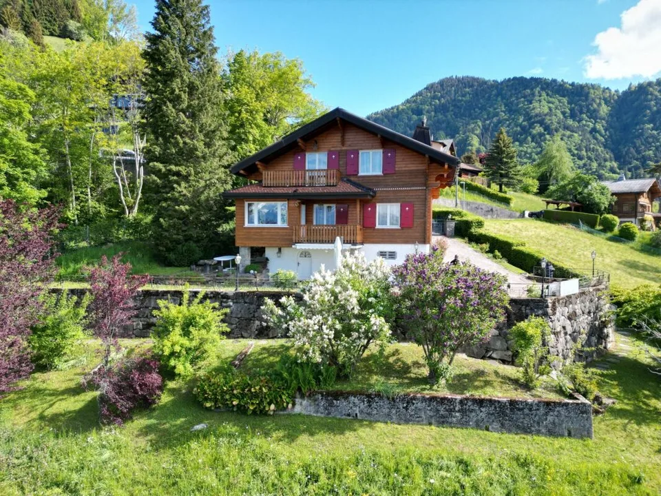 Exklusiv - Chalet am See