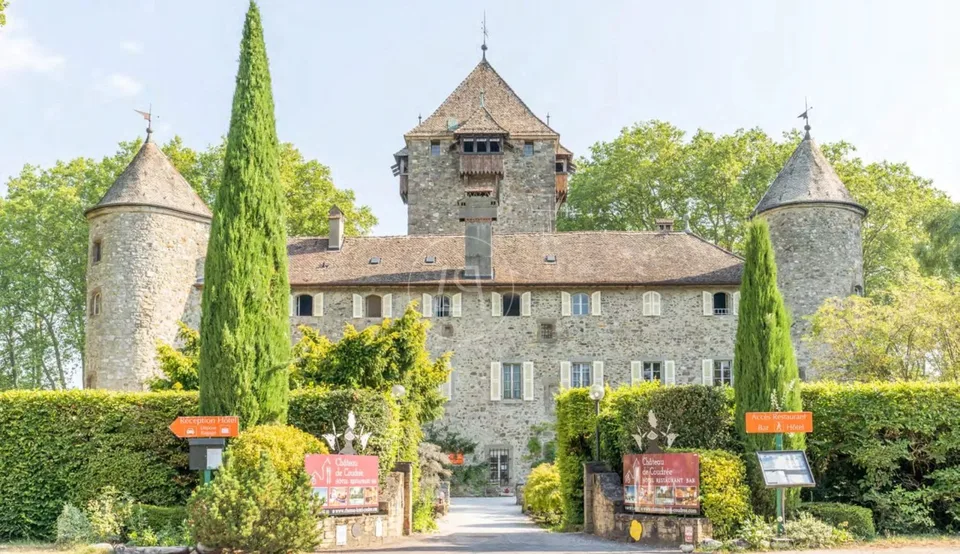 Exceptional waterfront castle near Geneva – photo 11 of 11