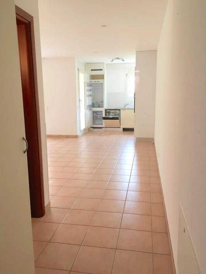 Breganzona 2,5 Zimmer, geräumige und helle Wohnung