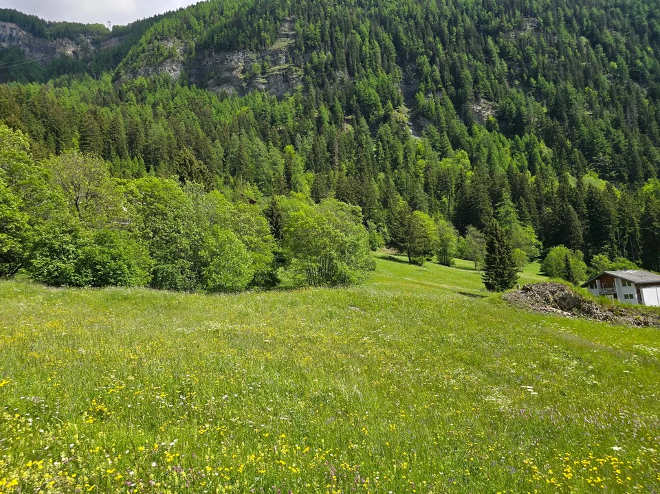 Land - 953 M2 - Leukerbad - ref. 10245442