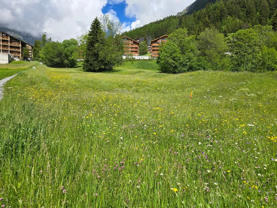 Terrain - 953 M2 - Leukerbad - réf. 10245442