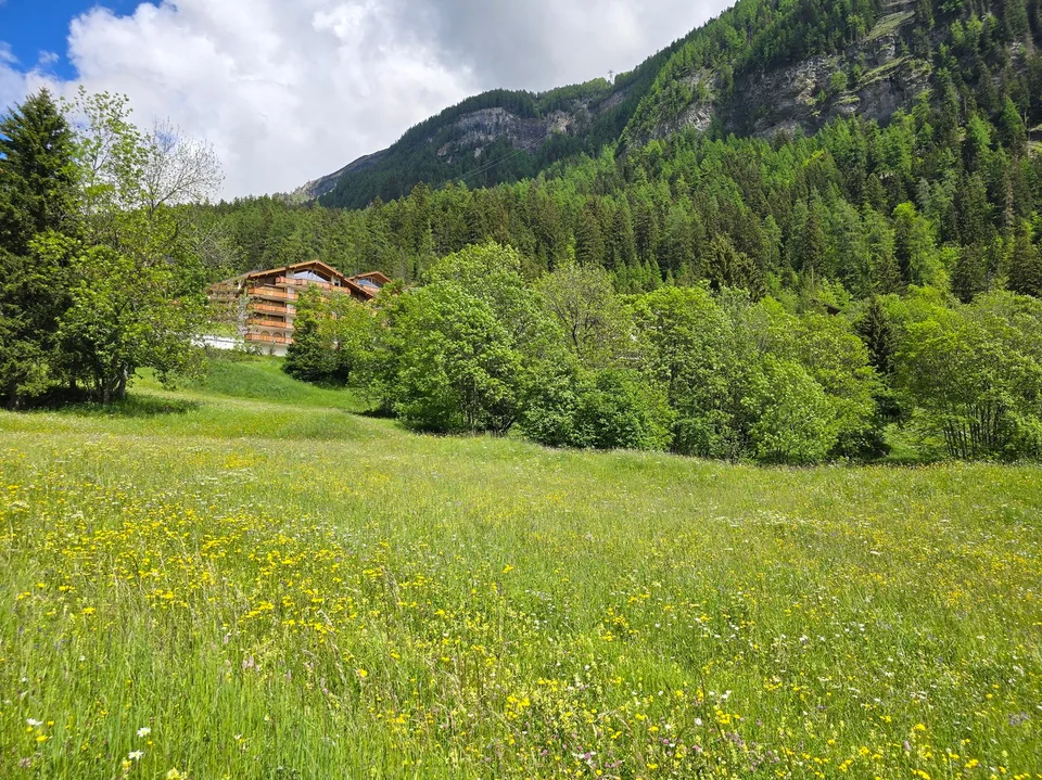 Land - 953 M2 - Leukerbad - ref. 10245442
