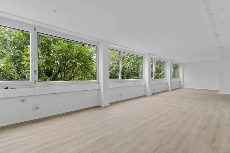 Commercial property with potential