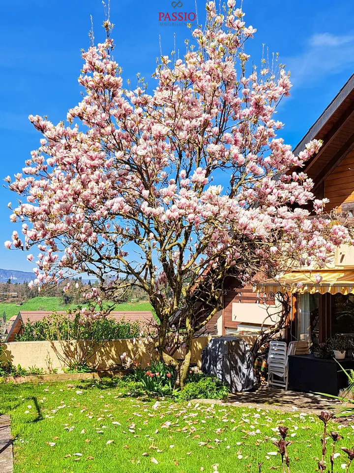 Grande maison mitoyenne de 10 pièces avec jardin paradisiaque dans un excellent emplacement