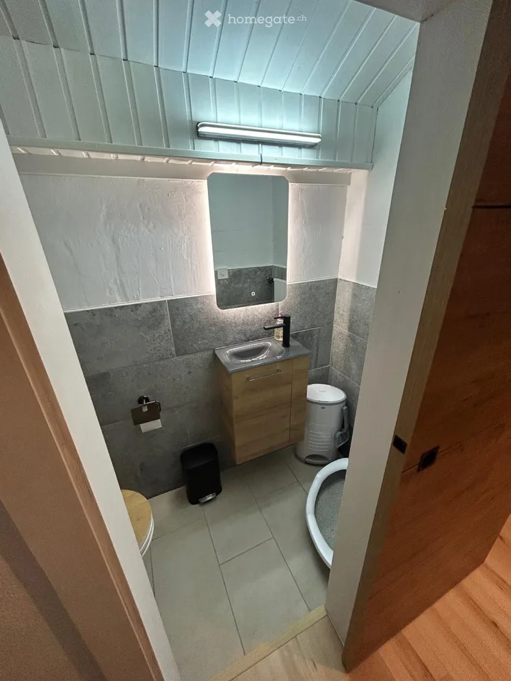 Einfamilienhaus mit Terrassen und Garagen renoviert