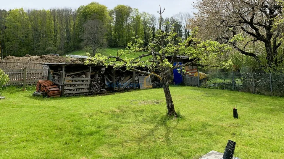 Schöne renovierte Farm mit 2 Apartments – Foto 12 von 14