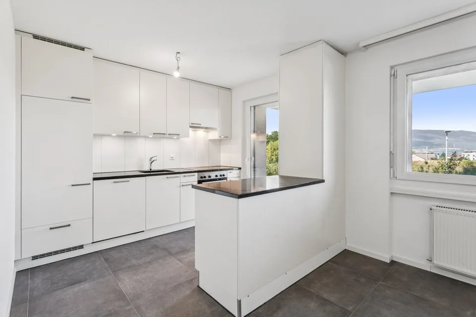 Estavayer-le-Lac - 4.5 rooms renovated with terrace and lake view