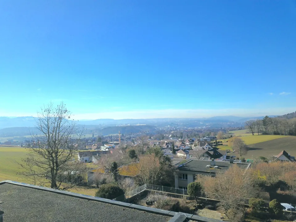 4.5-Room Row Single-Family Home with Magnificent View and Great Potential – photo 12 of 13